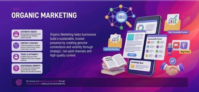 P2PClouds Organic Marketing Overview in Lahore