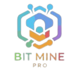 BIT